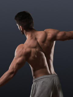 Rear Delt Rise