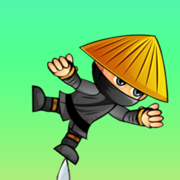 Ninja Ballance
