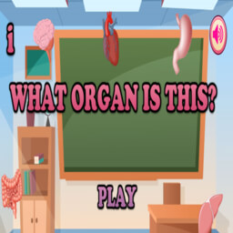 Vital Body Match